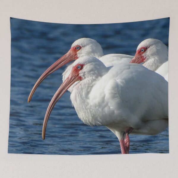 Item preview, White Ibis  1 designed and sold by Jeffrey Mask.