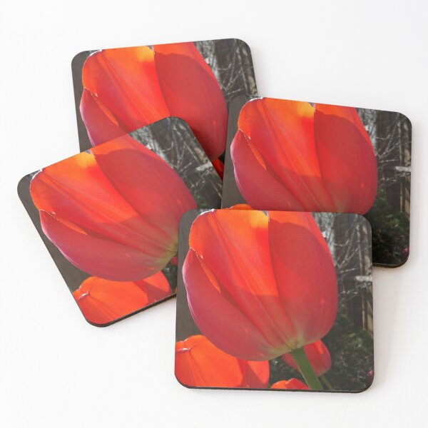 Item preview, Tulips designed and sold by JPOempathy.