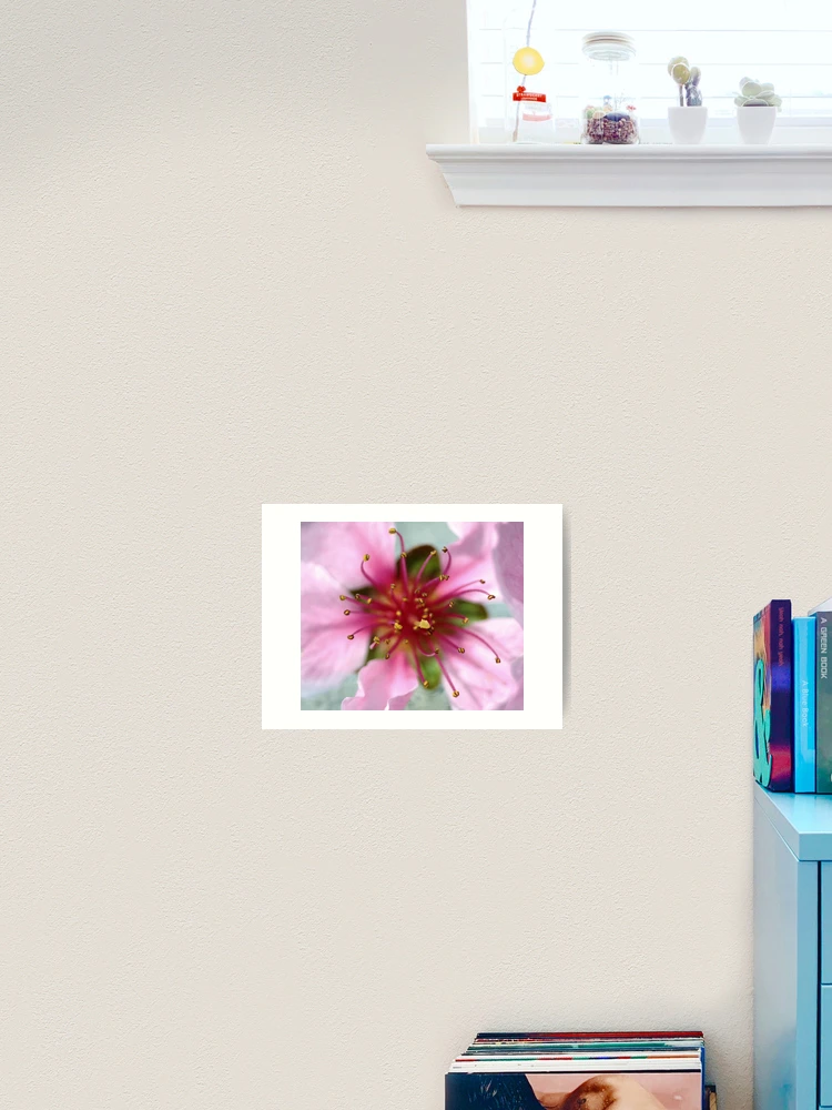 Thumbnail 2 von 3, Kunstdruck, Exploding designt und verkauft von Adrienne Berner.