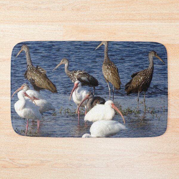 Item preview, Ibis and Limpkins designed and sold by Jeffrey Mask.