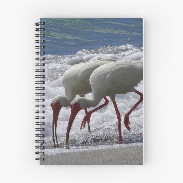 Item preview, Beach Walking White Ibis designed and sold by Jeffrey Mask.