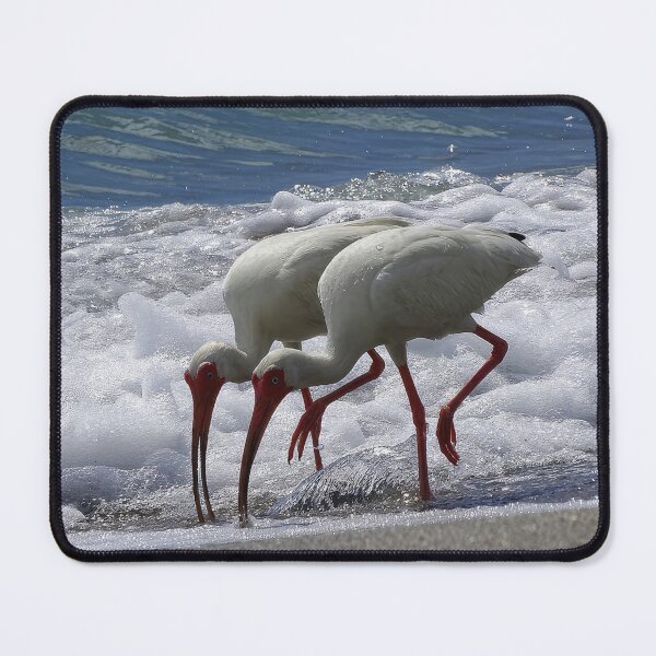 Item preview, Beach Walking White Ibis designed and sold by Jeffrey Mask.