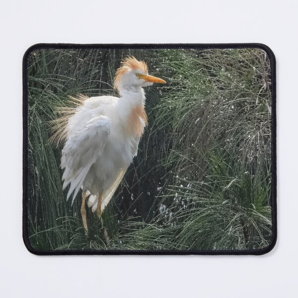 Item preview, Cattle Egret 1 designed and sold by Jeffrey Mask.