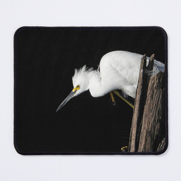 Item preview, Snowy Egret 1 designed and sold by Jeffrey Mask.