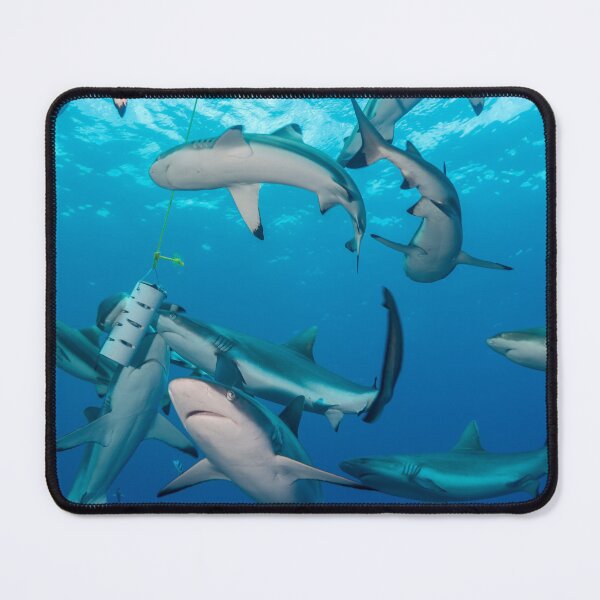 Item preview, a school of reef sharks designed and sold by tank200bar.
