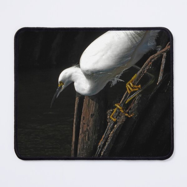 Item preview, Snowy Egret 3 designed and sold by Jeffrey Mask.