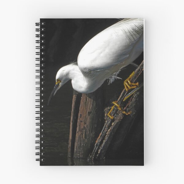 Item preview, Snowy Egret 3 designed and sold by Jeffrey Mask.