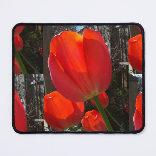 Item preview, Tulips designed and sold by JPOempathy.