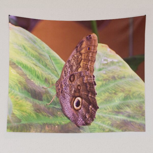 Item preview, The Magnificent Owl Butterfly designed and sold by Jessay.