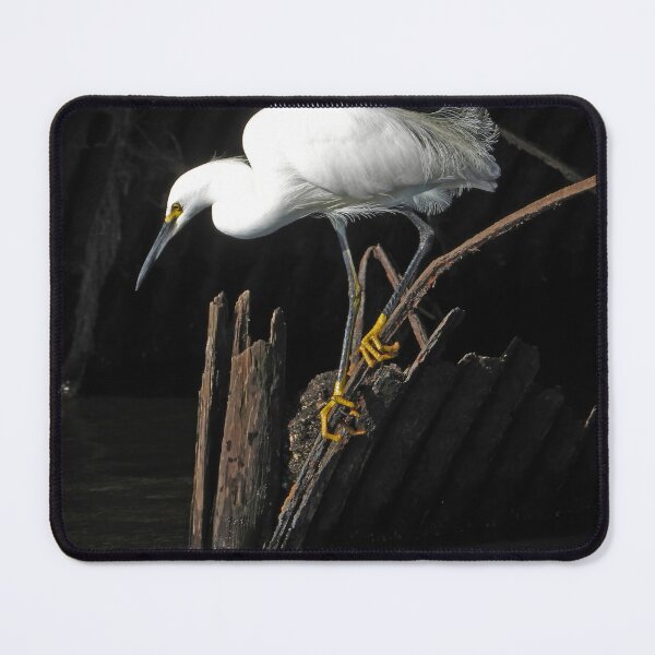 Item preview, Snowy Egret 4 designed and sold by Jeffrey Mask.