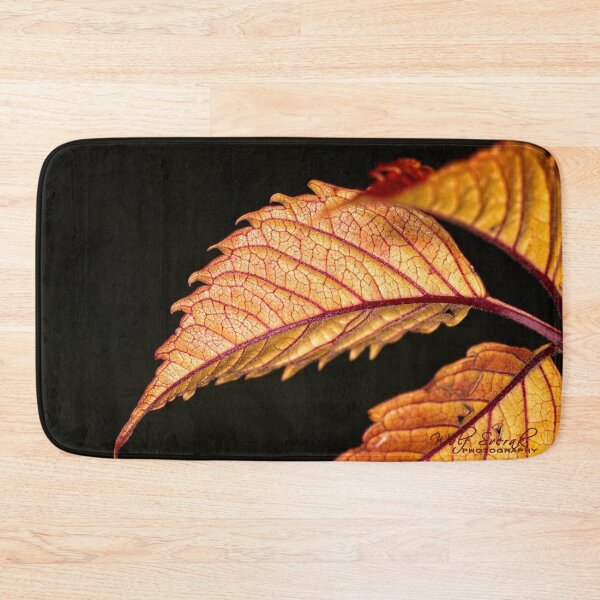 Item preview, Arboretum in autumn of 2023 (50) designed and sold by Wolf Sverak Photography.