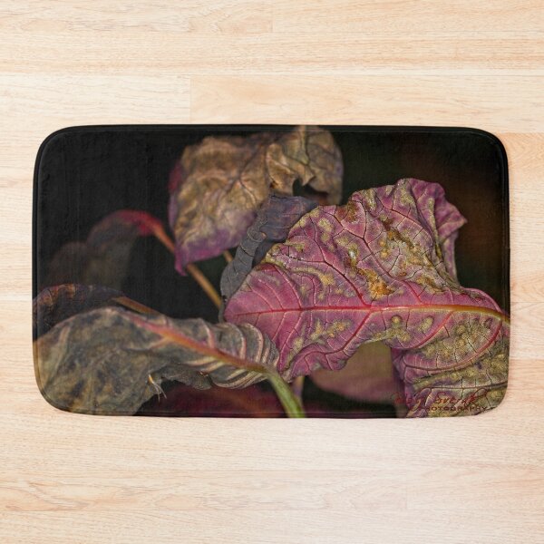 Item preview, Arboretum in autumn of 2023 (46) designed and sold by Wolf Sverak Photography.