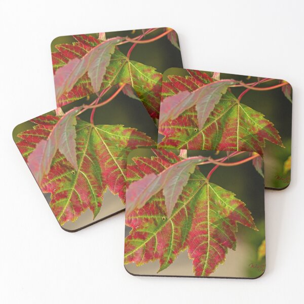 Item preview, Arboretum in autumn of 2023 (43) designed and sold by Wolf Sverak Photography.