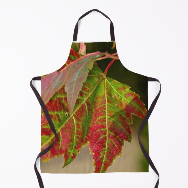 Item preview, Arboretum in autumn of 2023 (43) designed and sold by Wolf Sverak Photography.