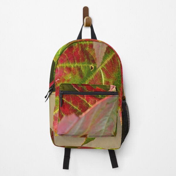 Item preview, Arboretum in autumn of 2023 (43) designed and sold by Wolf Sverak Photography.
