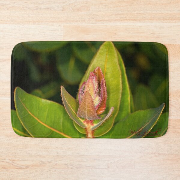 Item preview, Arboretum in autumn of 2023 (42) designed and sold by Wolf Sverak Photography.