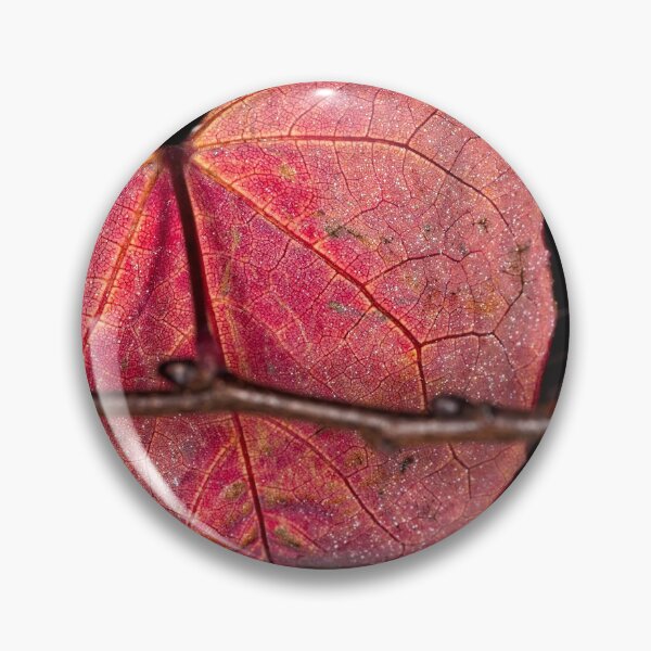 Item preview, Arboretum in autumn of 2023 (37) designed and sold by Wolf Sverak Photography.