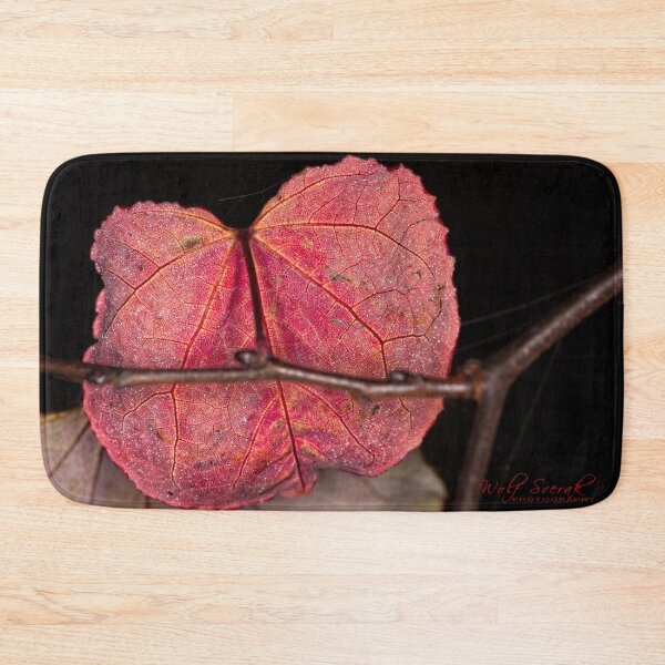 Item preview, Arboretum in autumn of 2023 (37) designed and sold by Wolf Sverak Photography.
