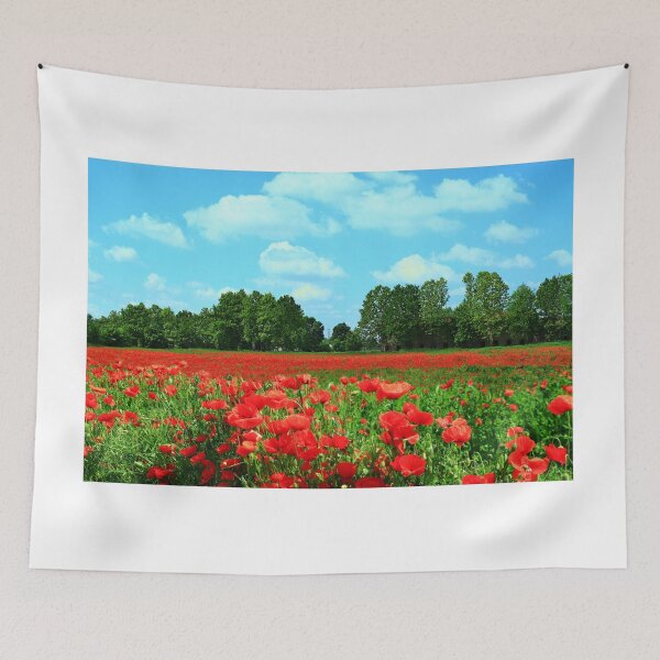 Aperçu de l'œuvre Coquelicots créée et vendue par annalisa56.