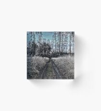autumnal sunny blue afternoon forest road Acrylic Block