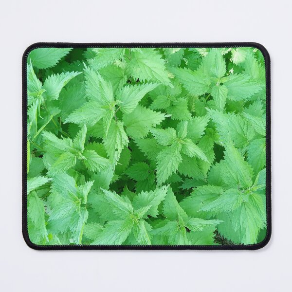 Item preview, Natural Nettles designed and sold by Dreammkd.