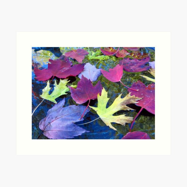 Item preview, Leaves in a Birdbath designed and sold by Mike Solomonson.