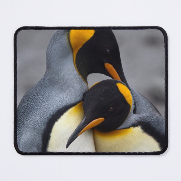 Item preview, I Wuv You! (King Penguins, South Georgia) designed and sold by Krys Bailey.