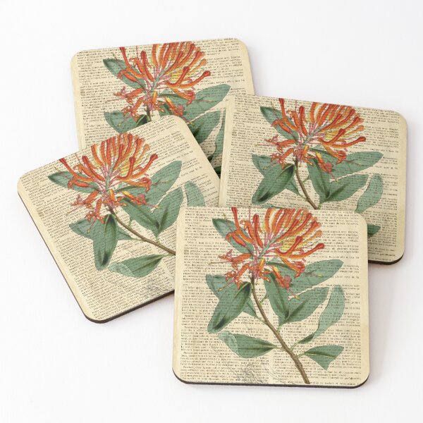Item preview, Botanical print, on old book page designed and sold by Art by Lilia.