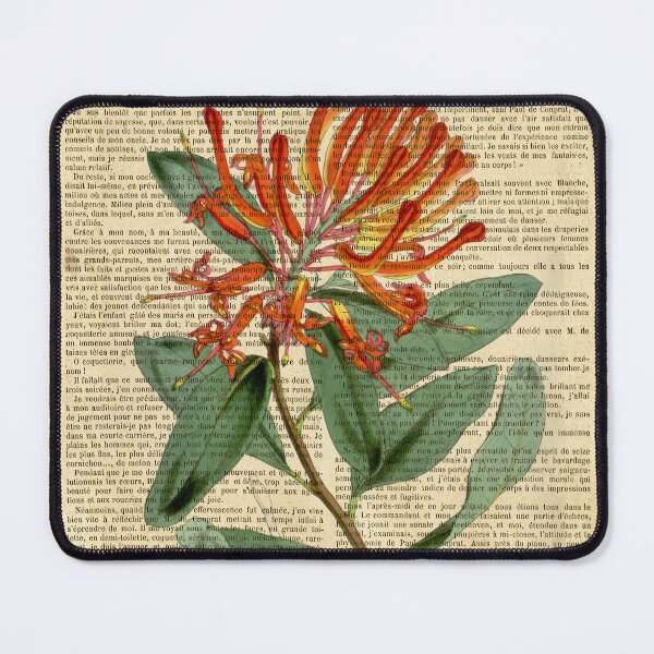 Item preview, Botanical print, on old book page designed and sold by Art by Lilia.