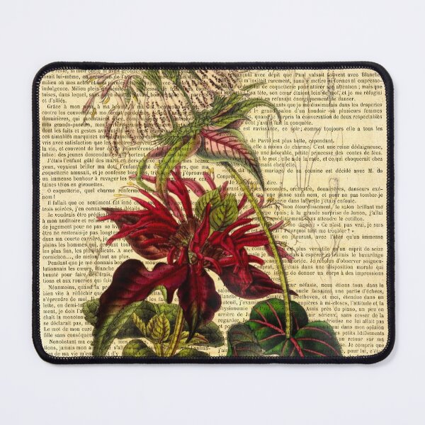 Item preview, Botanical print, on old book page - Monarda designed and sold by Art by Lilia.