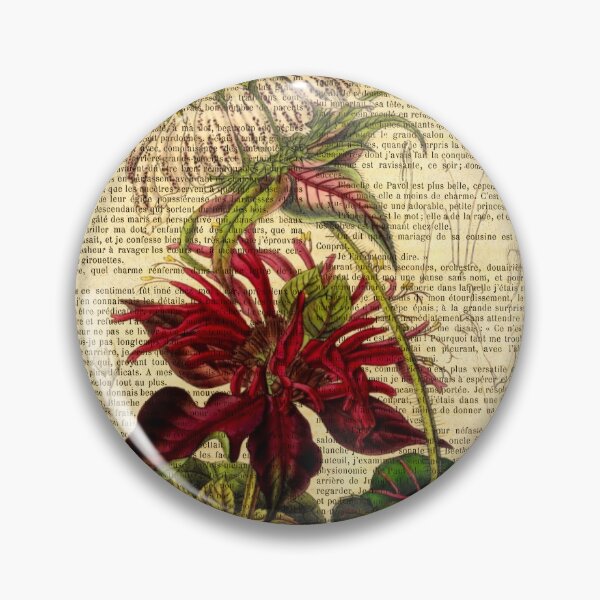 Item preview, Botanical print, on old book page - Monarda designed and sold by Art by Lilia.