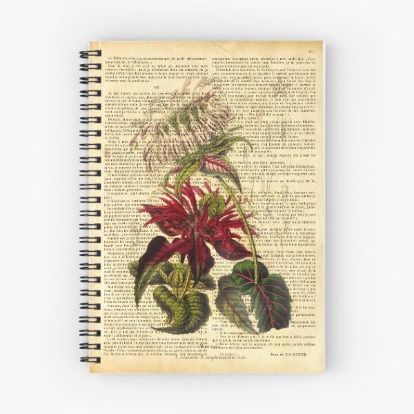 Item preview, Botanical print, on old book page - Monarda designed and sold by Art by Lilia.