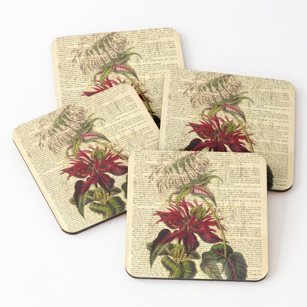 Item preview, Botanical print, on old book page - Monarda designed and sold by Art by Lilia.