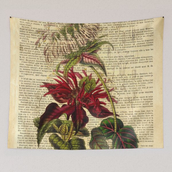 Item preview, Botanical print, on old book page - Monarda designed and sold by Art by Lilia.