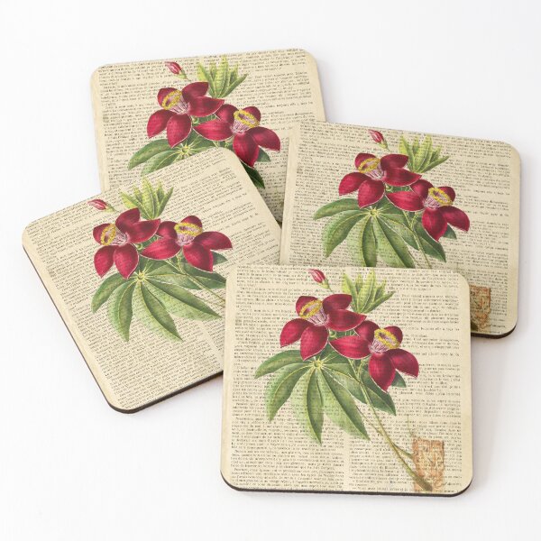 Item preview, Botanical print, on old book page - Tulip Gesner designed and sold by Art by Lilia.