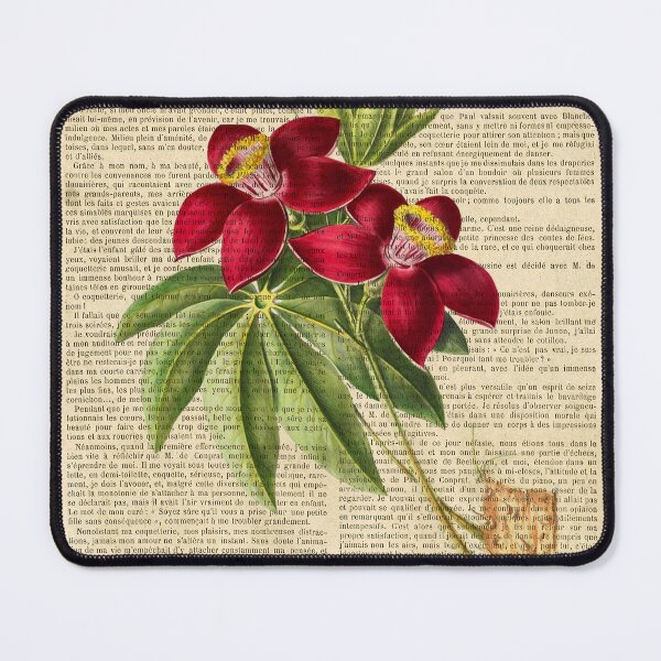 Item preview, Botanical print, on old book page - Tulip Gesner designed and sold by Art by Lilia.