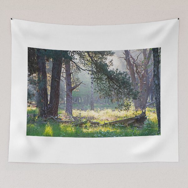 Item preview, Looking for the morning treasure designed and sold by jchanders.
