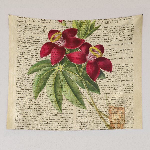 Item preview, Botanical print, on old book page - Tulip Gesner designed and sold by Art by Lilia.