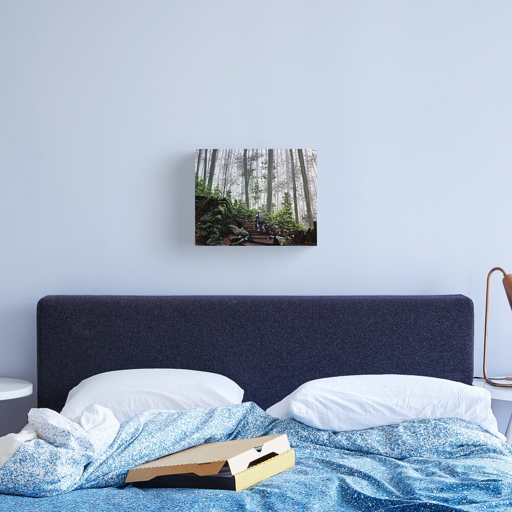 Ascension Canvas Print