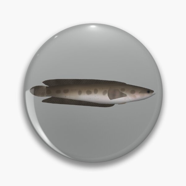 Item preview, African Obscure Snakehead designed and sold by fishfolkart.