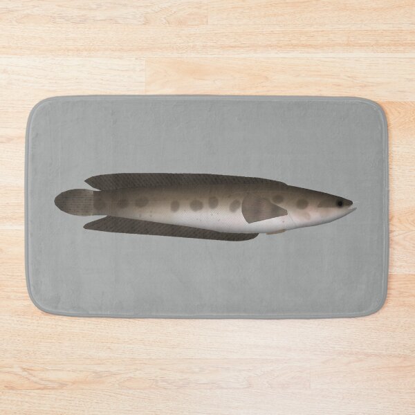Item preview, African Obscure Snakehead designed and sold by fishfolkart.