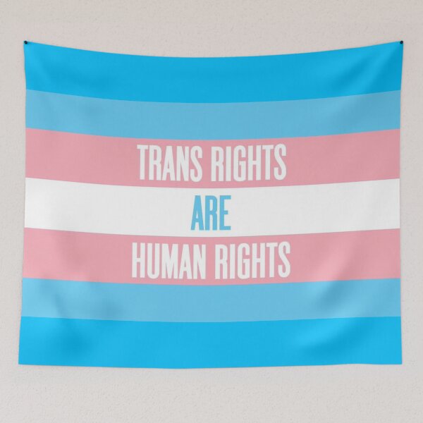 Item preview, trans rights are human rights designed and sold by MarsEsmeVT.