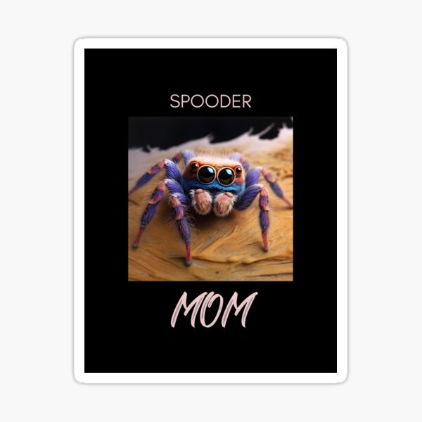 Smol Spooder Boi?