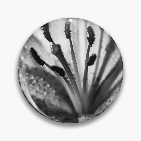 Item preview, The Black And White Lily designed and sold by AKRcaptures.