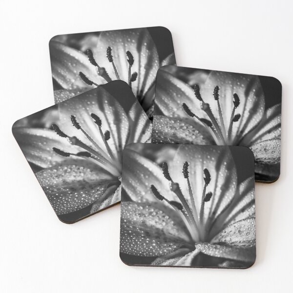 Item preview, The Black And White Lily designed and sold by AKRcaptures.