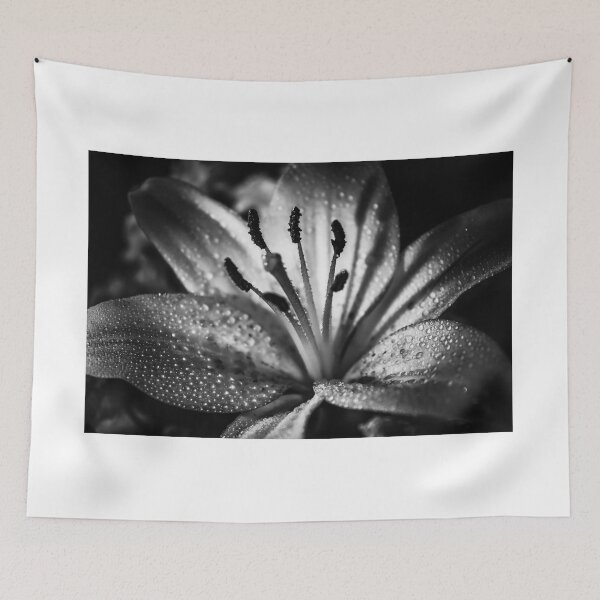 Item preview, The Black And White Lily designed and sold by AKRcaptures.