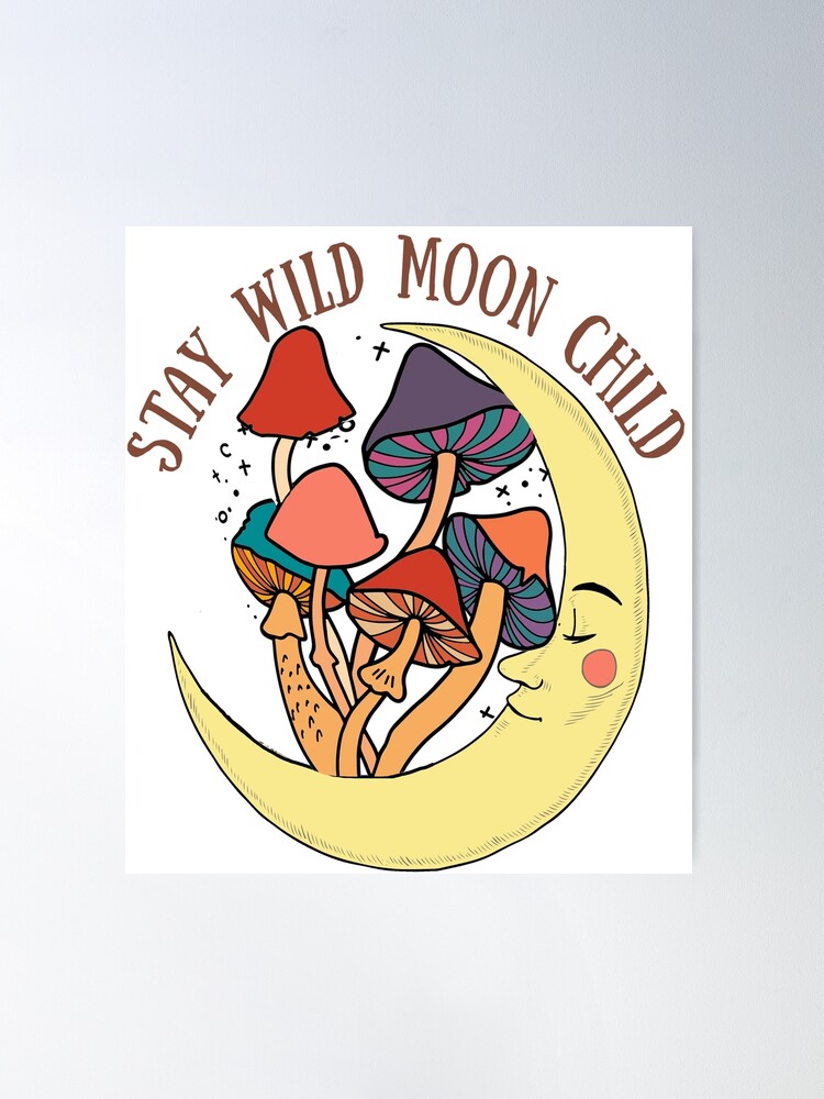 映画チラシサイト：MOON CHILD