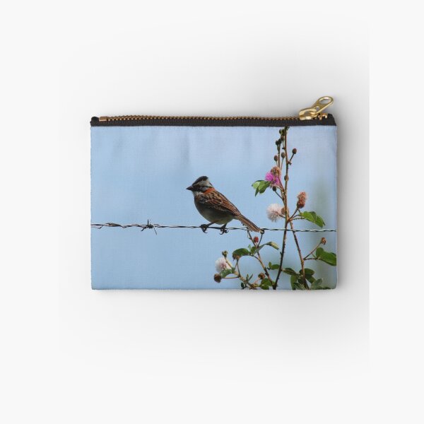 Item preview, Rufous Collared Sparrow on Barbed Wire designed and sold by rhamm.