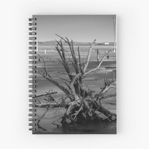 Item preview, Roots designed and sold by louise reeves.