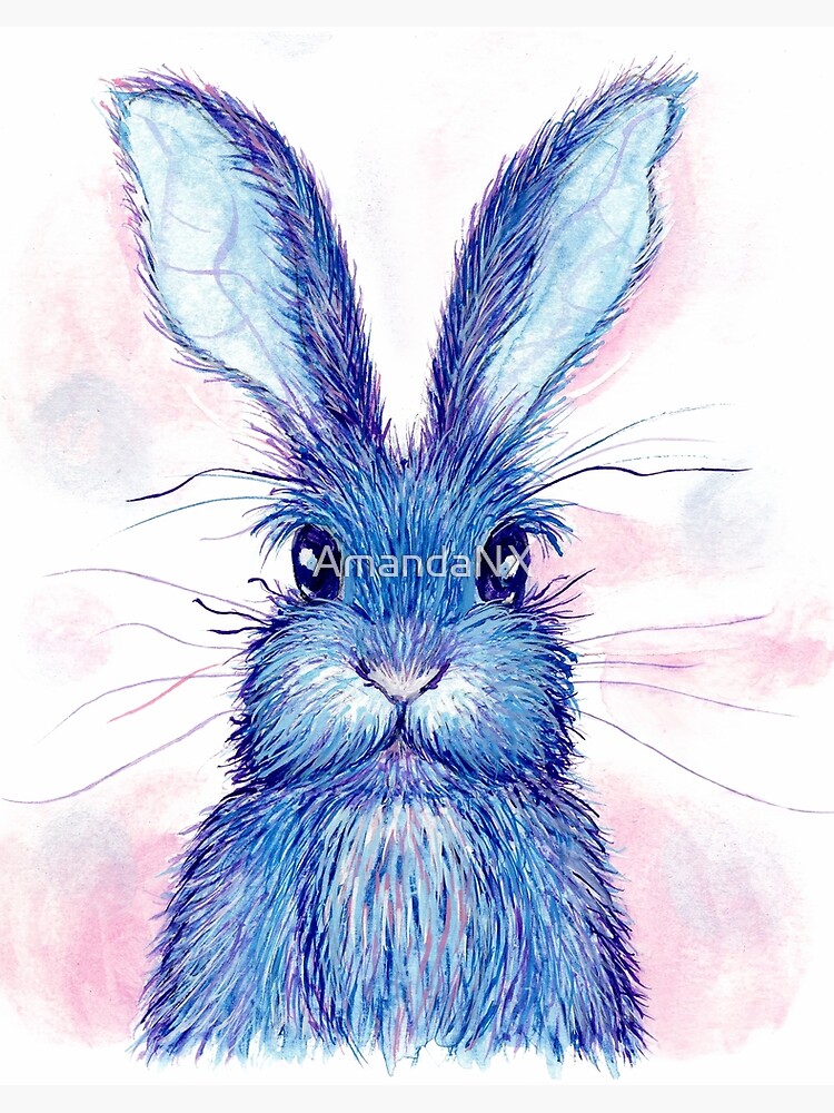 Rabbit drawing, Realistic drawings, Animal drawings